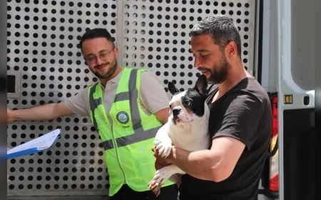 Eskişehir Büyükşehir Belediye Başkanı Ayşe Ünlüce’nin Talimatıyla 9 Köpek Doğal Yaşam Alanında Koruma Altına Alındı