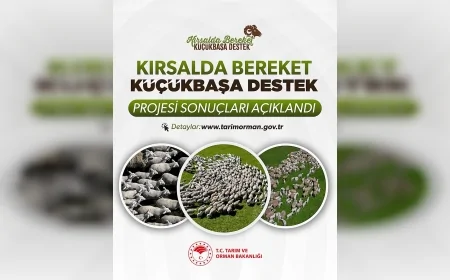Tarım ve Orman Bakanlığı Kırsalda Bereket Küçükbaşa Destek Projesi 1. Etap Sonuçlarını Açıkladı
