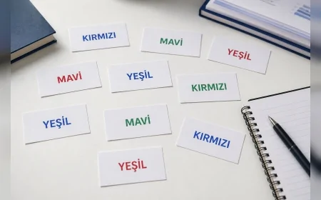 PNAS Nexus’ta Yayımlanan Araştırma Yapay Zekâların Dikkat Dağıtıcı Unsurlar Karşısında İnsanların Gerisinde Kaldığını Ortaya Koydu