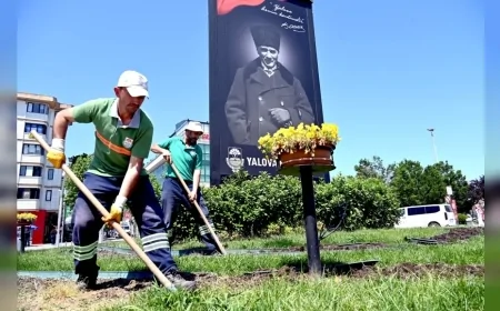 Yalova Belediyesi Yaz Dönemi Mevsimlik Çiçek Ekimleriyle Kenti Renkli Bir Görünüme Kavuşturuyor