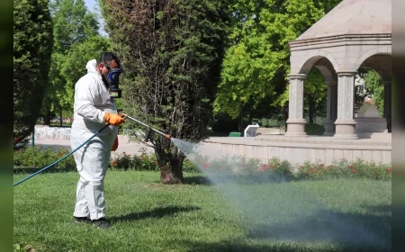 Eskişehir Büyükşehir Belediyesi Yağışların Ardından Sinek ve Kene Mücadelesini Kent Genelinde 24 Saat Sürdürüyor