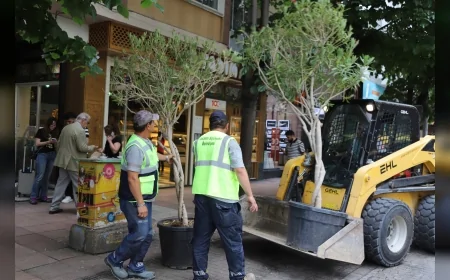 Eskişehir’de İsmet İnönü 1 Caddesi Yaz Sezonunda Zakkum Ağaçlarıyla Renklendi