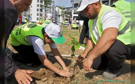 Bursa Büyükşehir Belediyesi Çevre Haftası Kapsamında 200 Fidanı Toprakla Buluşturdu