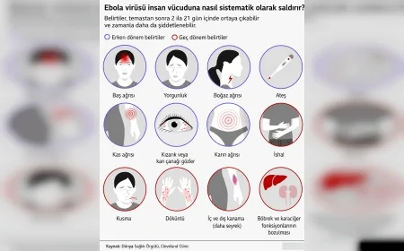 DSÖ Kongo’daki Ebola Salgını İçin Uluslararası Acil Durum İlan Etti
