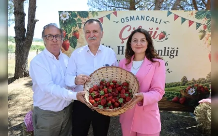 Yunusemre Belediyesi Osmancalı Çileği İlk Hasat Şenliği’nde Üreticileri ve Vatandaşları Buluşturdu