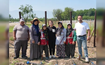 Düzce Belediyesi Ata Tohumu Üretim Alanını 2 Dönümden 6 Dönüme Çıkardı, Tohumlar Vatandaşlara Dağıtılacak