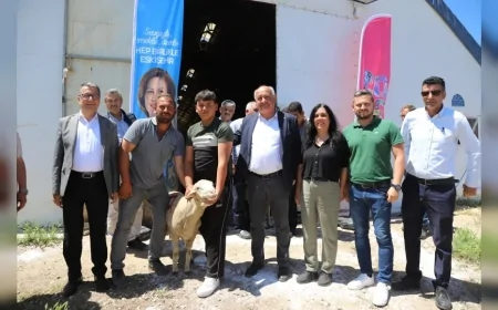 Eskişehir Büyükşehir Belediyesi ile Alpu Belediyesi iş birliğinde damızlık koçlar üreticilere teslim edildi