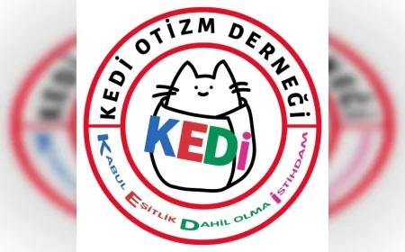 TÜRKİYE OTİZM MECLİSİ: “OTİZMLİ BİREYLER İÇİN ACİL MÜDAHALE SİSTEMLERİ GECİKMEDEN HAYATA GEÇİRİLMELİ”