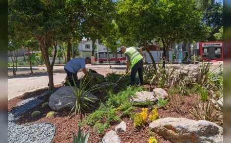İzmir Büyükşehir Belediyesi Şirinyer Parkı’nı yenileyerek Bucalılara daha güvenli ve yeşil bir yaşam alanı kazandırıyor