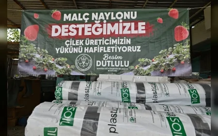 Manisa Büyükşehir Belediyesi Salihli ve Köprübaşı’nda Çilek Üreticilerine Yüzde 75 Hibeli Malç Naylonu Desteği Sağladı