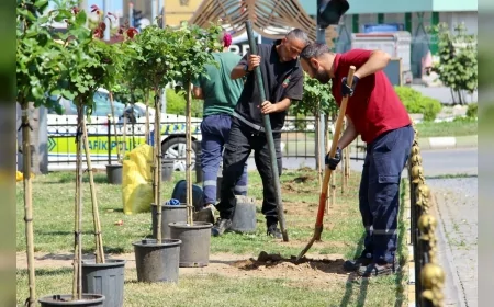 GİRESUN BELEDİYESİ YAZ SEZONU ÖNCESİ PEYZAJ ÇALIŞMALARINA HIZ VERDİ