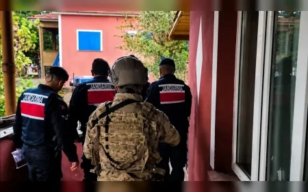 İçişleri Bakanlığı koordinesinde 5 ilde düzenlenen uyuşturucu operasyonlarında 341 şüpheli yakalandı