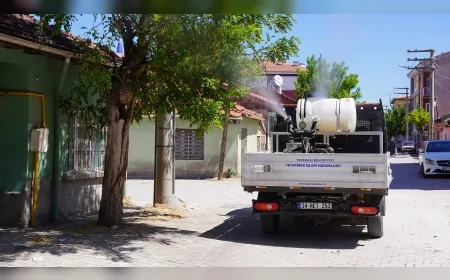 Tepebaşı Belediyesi Veteriner İşleri Müdürlüğü: "Sivrisinek, karasinek ve diğer uçkun zararlılara karşı ilaçlama çalışmaları aralıksız şekilde sürdürülüyor"