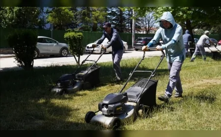 Tepebaşı Belediyesi Ekipleri Park ve Yeşil Alanlarda Çim Biçme Çalışmalarını Sürdürüyor