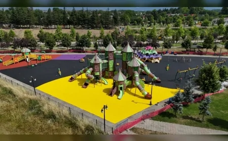 Düzce Belediyesi Park ve Bahçeler Müdürlüğü İlk 5 Aylık Faaliyet Raporunu Açıkladı