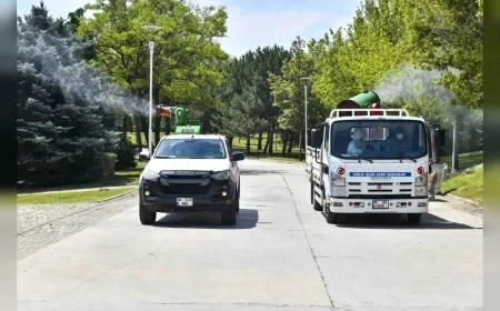 Ankara Büyükşehir Belediyesi ve İlçe Belediyeleri Vektörle Mücadelede Ortak Yol Haritasını Güncelledi