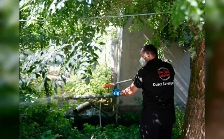 Düzce Belediyesi 64 Mahallede Sivrisinekle Mücadelede Üçüncü Turu Tamamladı, Asya Kaplan Sivrisineğine Karşı Uyarıda Bulundu