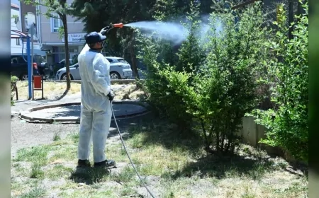 Mamak Belediyesi Yaz Döneminde Sinek ve Haşerelere Karşı İlçe Genelinde Kapsamlı İlaçlama Çalışmalarını Sürdürüyor