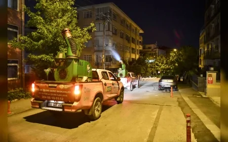 Ankara Büyükşehir Belediyesi Sağlık İşleri Daire Başkanı Mümtaz Yavuz: “Sivrisinek ve karasineklerle mücadelede gece ilaçlaması daha etkili”