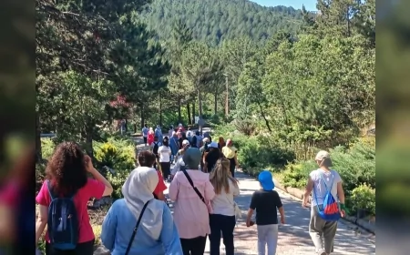 Bahçelievler Kadın Kültür Merkezi Kadınları Sıklık Tabiat Parkı'nda Doğa Yürüyüşü ve Egzersiz Etkinliğinde Buluşturdu