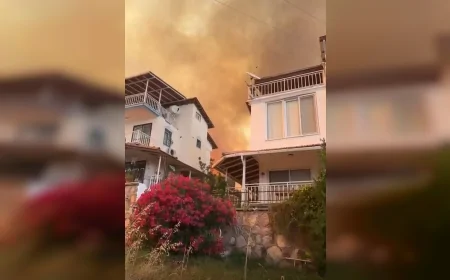 Dikili’de Otluk ve Zeytinlik Alanda Çıkan Yangına Havadan ve Karadan Yoğun Müdahale Sürüyor