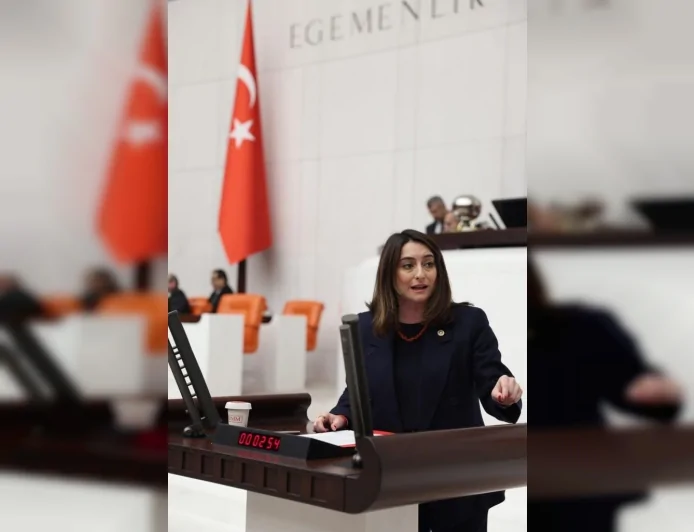 CHP’Lİ AYSU BANKOĞLU: “MEDENİ KANUN TASFİYE EDİLMEK İSTENİYOR”