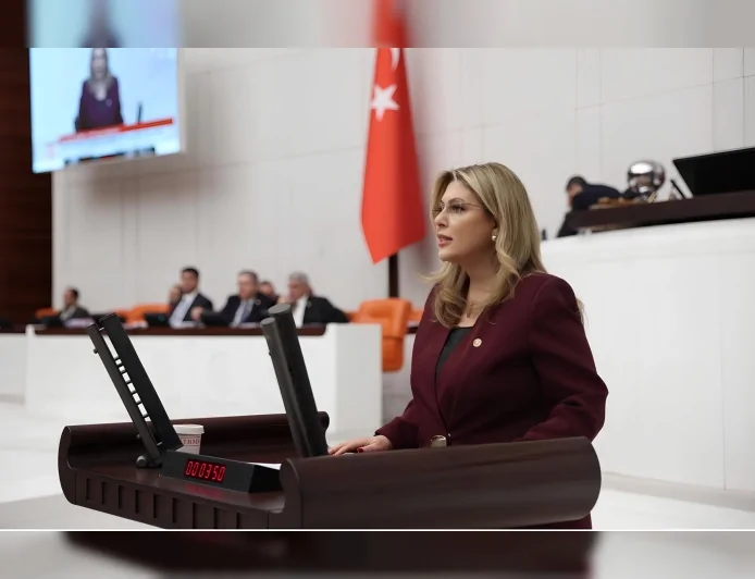 CHP Giresun Milletvekili Elvan Işık Gezmiş: “Karadeniz’in Doğası Enerji ve Rant Projelerine Feda Edilemez”