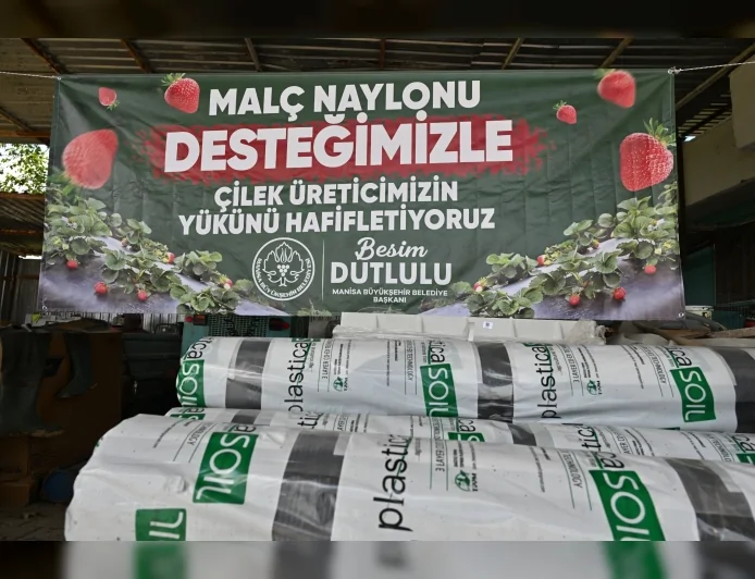 Manisa Büyükşehir Belediyesi Salihli ve Köprübaşı’nda Çilek Üreticilerine Yüzde 75 Hibeli Malç Naylonu Desteği Sağladı