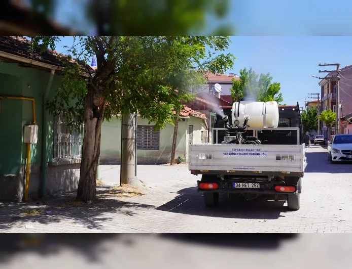 Tepebaşı Belediyesi Veteriner İşleri Müdürlüğü: "Sivrisinek, karasinek ve diğer uçkun zararlılara karşı ilaçlama çalışmaları aralıksız şekilde sürdürülüyor"
