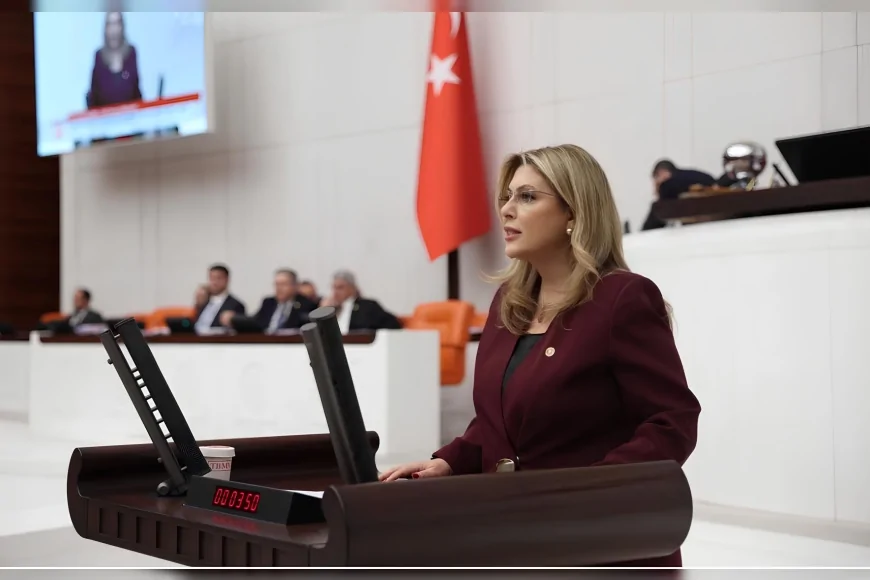CHP Giresun Milletvekili Elvan Işık Gezmiş: “Karadeniz’in Doğası Enerji ve Rant Projelerine Feda Edilemez”