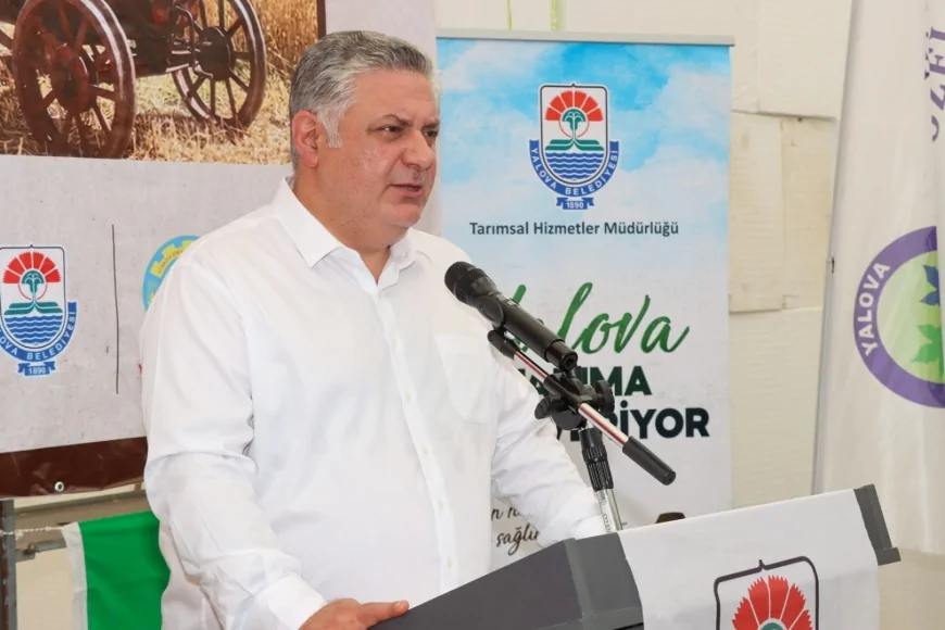 Yalova’da 1 Milyona Yakın Fide Üreticilere Dağıtıldı, Yerel Üretime Destek Güçlendirildi