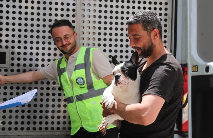 Eskişehir Büyükşehir Belediye Başkanı Ayşe Ünlüce’nin Talimatıyla 9 Köpek Doğal Yaşam Alanında Koruma Altına Alındı