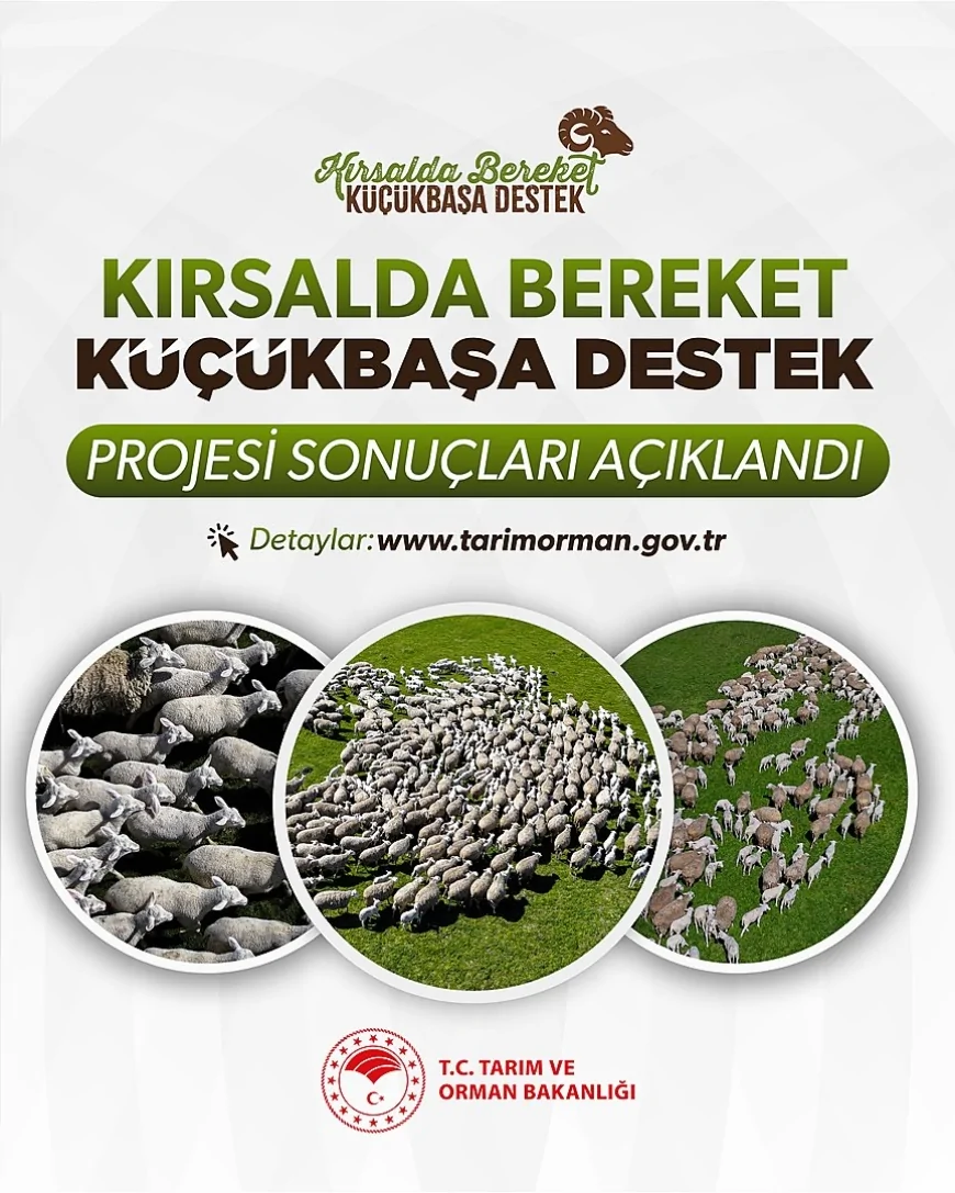 Tarım ve Orman Bakanlığı Kırsalda Bereket Küçükbaşa Destek Projesi 1. Etap Sonuçlarını Açıkladı
