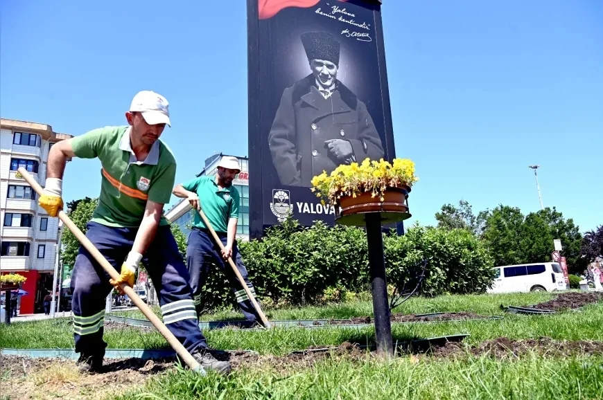 Yalova Belediyesi Yaz Dönemi Mevsimlik Çiçek Ekimleriyle Kenti Renkli Bir Görünüme Kavuşturuyor