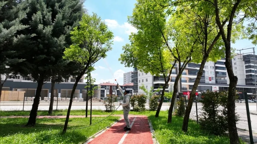 Sincan Belediyesi Yaz Boyunca Tüm Park ve Yeşil Alanlarda İlaçlama Çalışmalarını Sürdürecek
