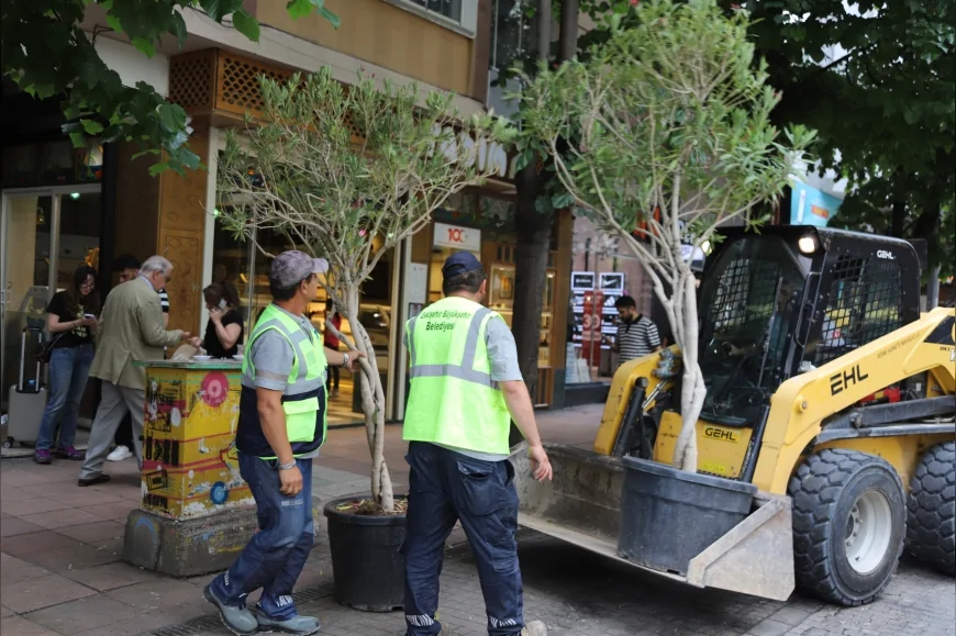 Eskişehir’de İsmet İnönü 1 Caddesi Yaz Sezonunda Zakkum Ağaçlarıyla Renklendi