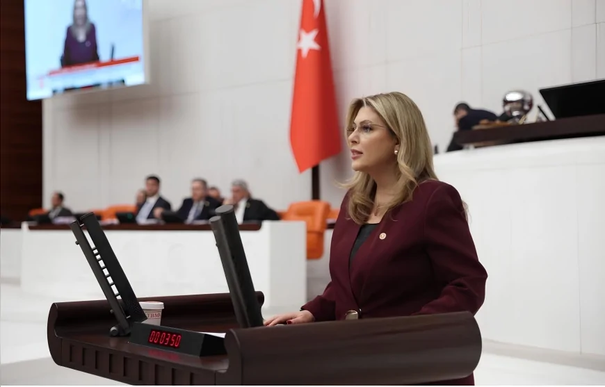CHP Giresun Milletvekili Elvan Işık Gezmiş: “Karadeniz’in Doğası Enerji ve Rant Projelerine Feda Edilemez”