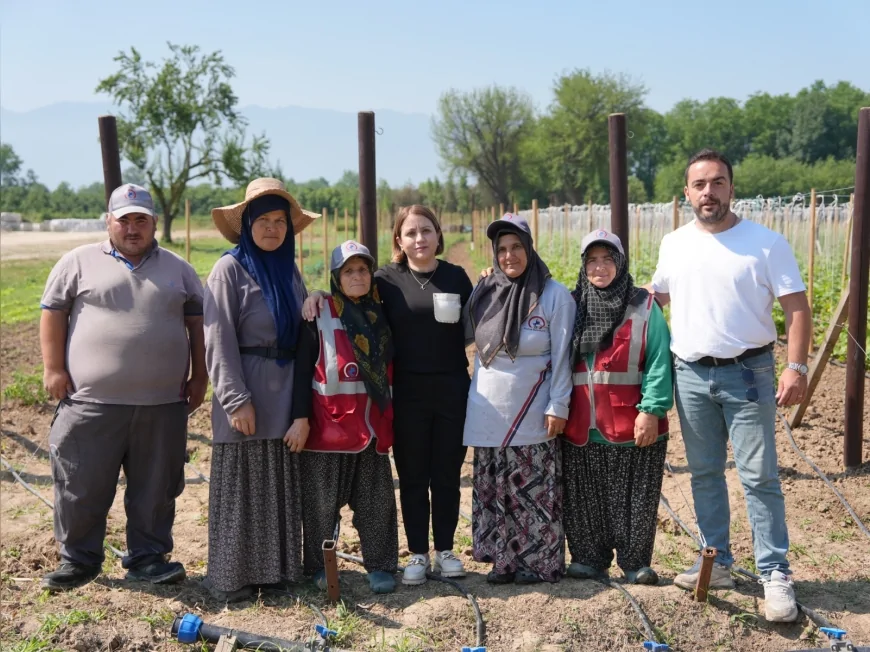 Düzce Belediyesi Ata Tohumu Üretim Alanını 2 Dönümden 6 Dönüme Çıkardı, Tohumlar Vatandaşlara Dağıtılacak