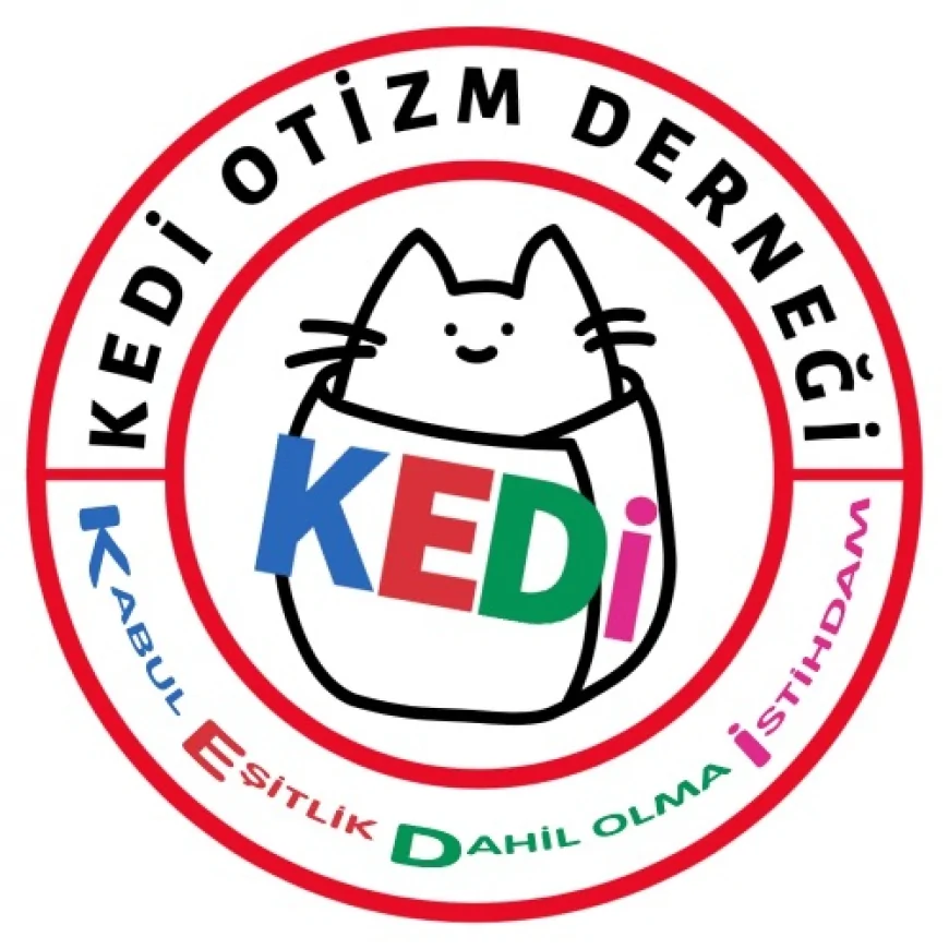 TÜRKİYE OTİZM MECLİSİ: “OTİZMLİ BİREYLER İÇİN ACİL MÜDAHALE SİSTEMLERİ GECİKMEDEN HAYATA GEÇİRİLMELİ”