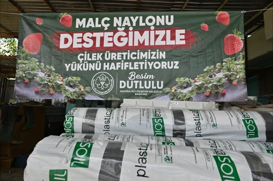 Manisa Büyükşehir Belediyesi Salihli ve Köprübaşı’nda Çilek Üreticilerine Yüzde 75 Hibeli Malç Naylonu Desteği Sağladı