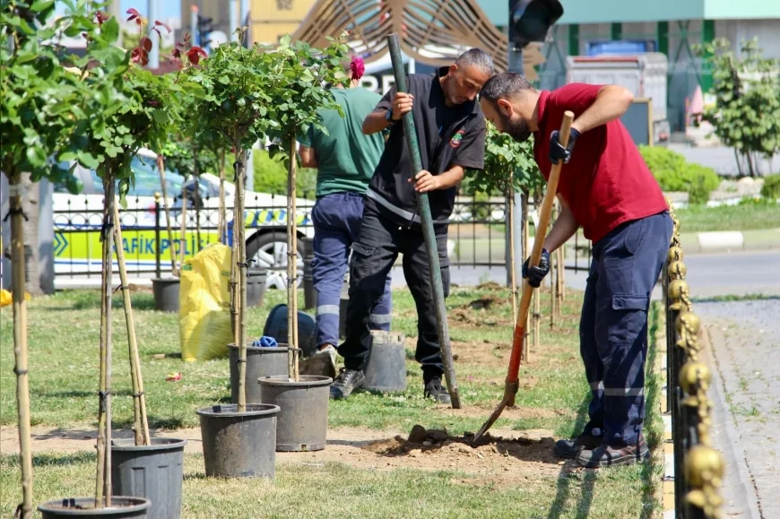 GİRESUN BELEDİYESİ YAZ SEZONU ÖNCESİ PEYZAJ ÇALIŞMALARINA HIZ VERDİ