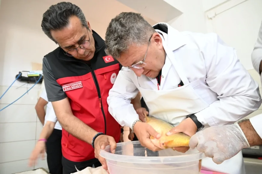 İzmir İl Tarım ve Orman Müdürü Kahraman Akdoğan Ürkmez’deki Sazan Üretim Çalışmalarını İnceledi