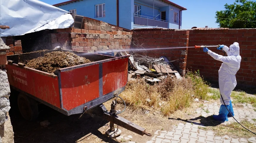 Tepebaşı Belediyesi Kırsal Mahallelerde Larvasit Uygulamalarını Sürdürüyor, Sivrisinek Üreme Alanları Düzenli Olarak İlaçlanıyor