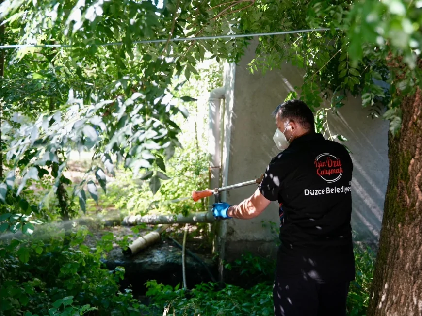 Düzce Belediyesi 64 Mahallede Sivrisinekle Mücadelede Üçüncü Turu Tamamladı, Asya Kaplan Sivrisineğine Karşı Uyarıda Bulundu