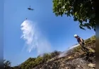Aliağa’daki Orman Yangını Ekiplerin Koordineli Müdahalesiyle 15 Dakikada Kontrol Altına Alındı