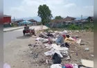 Düzce Belediyesi Zabıta Ekipleri Çevreyi Kirleten Şahsa İdari Para Cezası Uyguladı