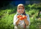 Bornova Belediye Başkanı Ömer Eşki: “Bornova’da Bostanı Olmayan Mahalle Bırakmayacağız”