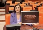 CHP İzmir Milletvekili Av. Sevda Erdan Kılıç: “Madımak’ı Yakan Zihniyetle Mücadelemiz Sürüyor”