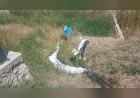 Kahramankazan Belediye Başkanı Selim Çırpanoğlu: “Halk sağlığını korumak için ilaçlama çalışmalarımızı aralıksız sürdürüyoruz”