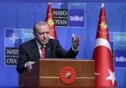 Cumhurbaşkanı Recep Tayyip Erdoğan: “2026 yılı bitmeden Türk Devletleri Teşkilatı Liderler Zirvesi ile COP31 İklim Zirvesi’ne ev sahipliği yapacağız”